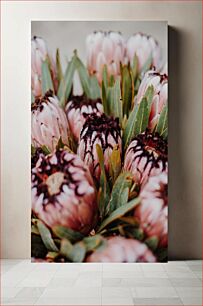 Πίνακας, Close-up of Pink Protea Flowers Κοντινό πλάνο των ροζ λουλουδιών Protea