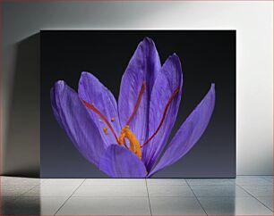 Πίνακας, Close-up of Purple Flower Κοντινό πλάνο του πορφυρού λουλουδιού