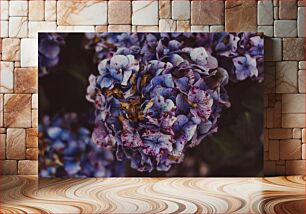 Πίνακας, Close-up of Purple Flowers Κοντινό πλάνο μωβ λουλούδια