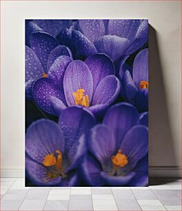 Πίνακας, Close-up of Purple Flowers Κοντινό πλάνο μωβ λουλούδια
