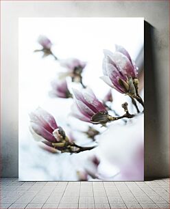 Πίνακας, Close-Up of Purple Flowers Κοντινό πλάνο μωβ λουλούδια