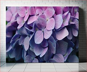 Πίνακας, Close-Up of Purple Hydrangea Κοντινό πλάνο της Μωβ Ορτανσίας