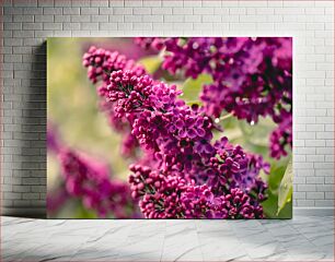 Πίνακας, Close-up of Purple Lilac Flowers Κοντινό πλάνο μωβ λιλά λουλούδια