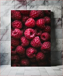 Πίνακας, Close-Up of Raspberries Κοντινό πλάνο Raspberries