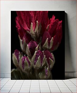 Πίνακας, Close-up of Red Flower Buds Κοντινό πλάνο κόκκινων μπουμπουκιών λουλουδιών