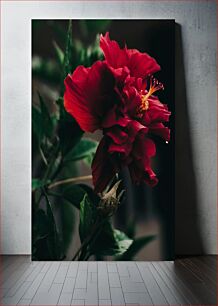 Πίνακας, Close-up of Red Flower Κοντινό πλάνο κόκκινο λουλούδι