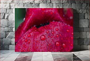 Πίνακας, Close-Up of Red Flower with Water Droplets Κοντινό πλάνο κόκκινο λουλούδι με σταγόνες νερού