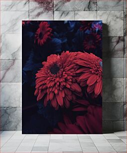 Πίνακας, Close-up of Red Flowers Κοντινό πλάνο κόκκινων λουλουδιών