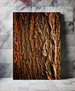 Πίνακας, Close-up of Tree Bark Κοντινό πλάνο του φλοιού δέντρων