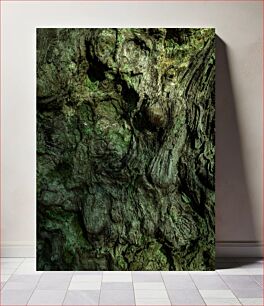 Πίνακας, Close-Up of Tree Bark Κοντινό πλάνο του φλοιού δέντρου