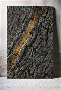 Πίνακας, Close-up of Tree Bark Κοντινό πλάνο του φλοιού δέντρου