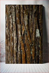 Πίνακας, Close-up of Tree Bark Κοντινό πλάνο του φλοιού δέντρου