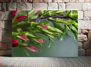 Πίνακας, Close-up of Unopened Flower Buds Κοντινό πλάνο άνοιξε μπουμπούκια λουλουδιών