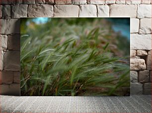 Πίνακας, Close-Up of Vegetation Κοντινό πλάνο της βλάστησης