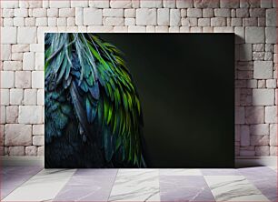 Πίνακας, Close-up of Vibrant Feathers Κοντινό πλάνο με ζωηρά φτερά