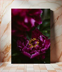 Πίνακας, Close-up of Vibrant Purple Flower Κοντινό πλάνο του ζωντανού μωβ λουλουδιού