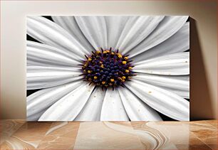 Πίνακας, Close-Up of White Flower Κοντινό πλάνο Λευκού Λουλουδιού