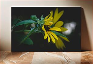 Πίνακας, Close-Up of Yellow Sunflower Κοντινό πλάνο του κίτρινου ηλίανθου