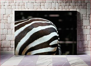 Πίνακας, Close-up of Zebra Pattern Κοντινό πλάνο του μοτίβου Zebra