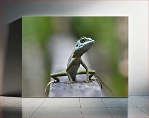 Πίνακας, Close-up Picture of a Lizard Κοντινή εικόνα μιας σαύρας