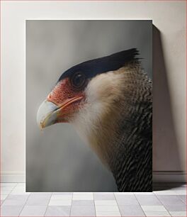 Πίνακας, Close-up Portrait of a Bird Πορτρέτο ενός πουλιού από κοντά