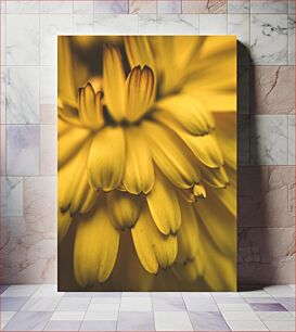 Πίνακας, Close-up Yellow Flower Κίτρινο λουλούδι από κοντά