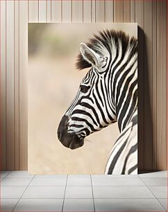 Πίνακας, Close-up Zebra Profile Κοντινό πλάνο Ζέβρα Προφίλ
