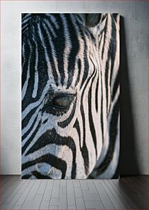 Πίνακας, Close-up Zebra Stripes Κοντινό πλάνο Ζέβρα Ρίγες