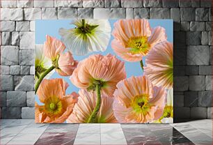 Πίνακας, Closeup of Poppy Flowers Κινηματογράφηση σε πρώτο πλάνο λουλουδιών παπαρούνας