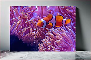Πίνακας, Clownfish in Coral Reef Κλόουνψάρια στον Κοραλλιογενή Ύφαλο