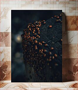 Πίνακας, Cluster of Ladybugs on a Log Σύμπλεγμα πασχαλίτσες σε κούτσουρο