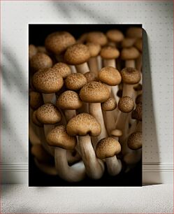 Πίνακας, Cluster of Mushrooms Συστάδα Μανιταριών