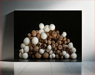 Πίνακας, Cluster of Mushrooms Συστάδα Μανιταριών