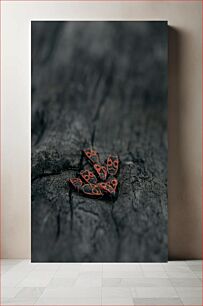 Πίνακας, Cluster of Red and Black Bugs on Wood Συστάδα κόκκινων και μαύρων ζωυφίων στο ξύλο