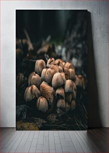 Πίνακας, Cluster of Wild Mushrooms Συστάδα άγριων μανιταριών