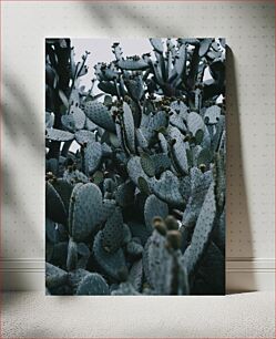 Πίνακας, Clustered Cacti Συγκεντρωμένοι κάκτοι