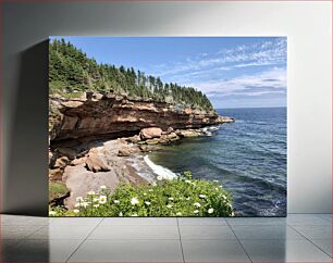 Πίνακας, Coastal Cliff and Ocean View Παράκτιος βράχος και θέα στον ωκεανό