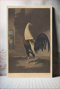 Πίνακας, Cock Fighting [a pair]: 1. The Cock in Feather