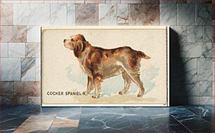 Πίνακας, Cocker Spaniel, from the Dogs of the World series for Old Judge Cigarettes