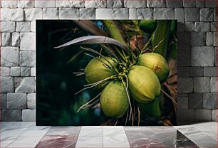 Πίνακας, Coconuts on the Tree Καρύδες στο δέντρο