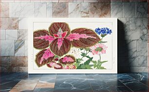Πίνακας, Coleus & verbena flower, Japanese woodblock art