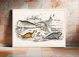 Πίνακας, Collection of various Seals. A History of the Earth and Animated Nature (1820) by Oliver Goldsmith (1730-1774)