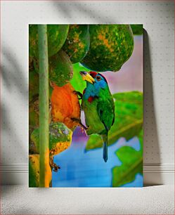 Πίνακας, Colorful Bird Eating Fruit Πολύχρωμο πουλί που τρώει φρούτα