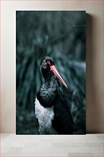 Πίνακας, Colorful Bird in Natural Habitat Πολύχρωμο πουλί σε φυσικό βιότοπο
