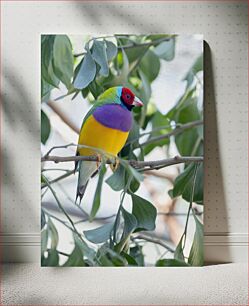 Πίνακας, Colorful Bird in Nature Πολύχρωμο πουλί στη φύση