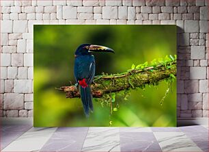 Πίνακας, Colorful Bird on a Branch Πολύχρωμο πουλί σε ένα κλαδί