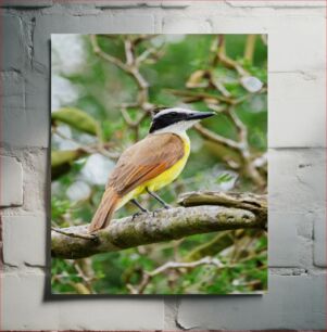 Πίνακας, Colorful Bird on a Branch Πολύχρωμο πουλί σε ένα κλαδί