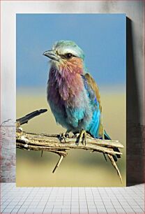 Πίνακας, Colorful Bird on a Branch Πολύχρωμο πουλί σε ένα κλαδί