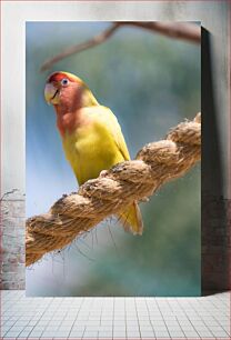 Πίνακας, Colorful Bird on a Rope Πολύχρωμο πουλί σε ένα σχοινί