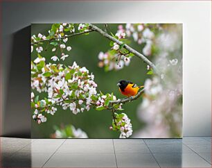 Πίνακας, Colorful Bird on Blossoming Tree Πολύχρωμο πουλί σε ανθισμένο δέντρο